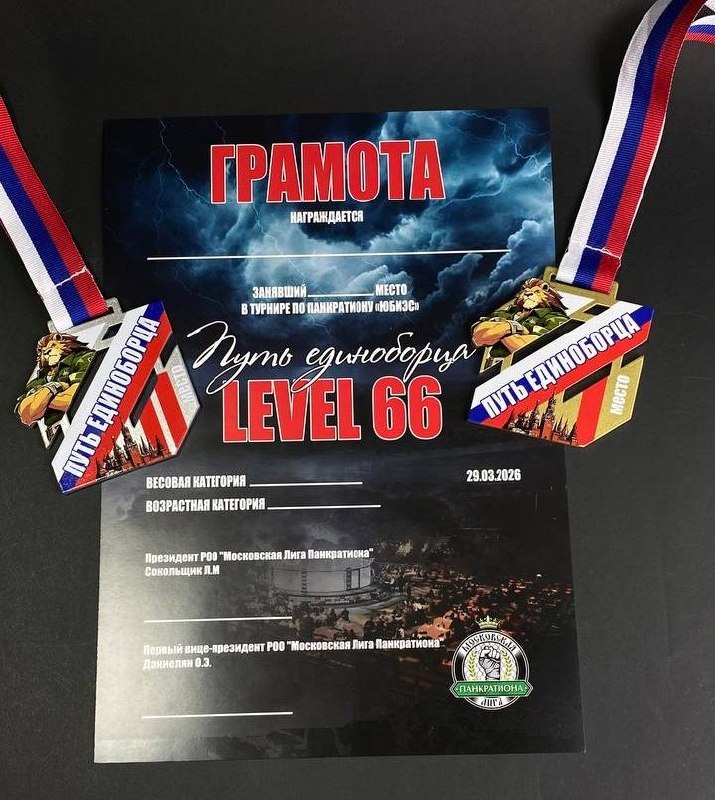 LEVEL 66: наградная продукция