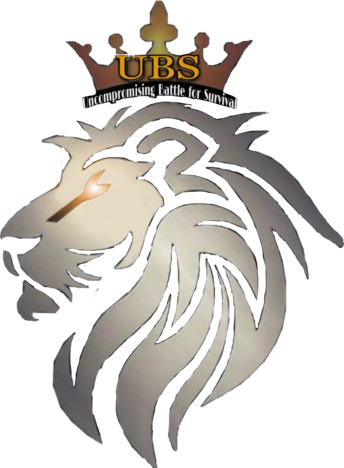 UBS Lion Logo